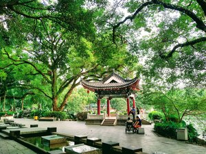 china6