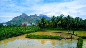 kerala2