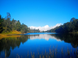kodai4