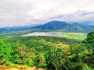 kodai6