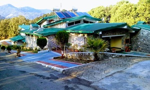 naini2