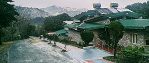 naini8