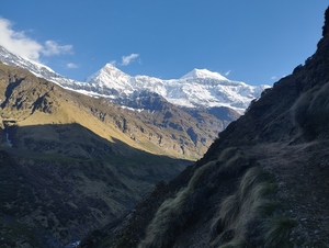 pindari1